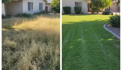 Before and after lawn mowing transformation by Chop Chop Landscaping in Phoenix, AZ