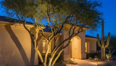 Dramatic tree uplighting design by professional landscapers in Phoenix, AZ enhancing nighttime curb appeal